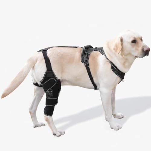 FurWell Dog Knee Brace with Chest Harness