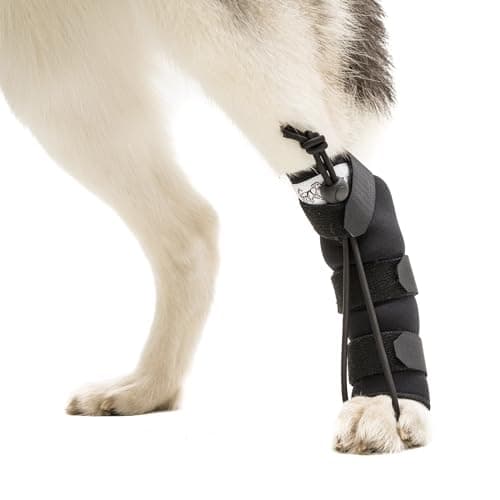 Walkin' Pets Walkin' Pets Rear No-Knuckling Training Sock