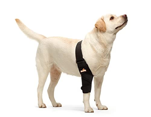 NeoAlly NeoAlly Dog Elbow Brace & Protector Pads