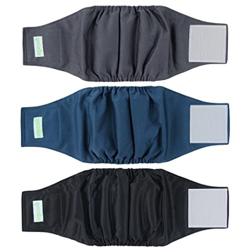 Wegreeco Wegreeco Washable Male Dog Belly Band