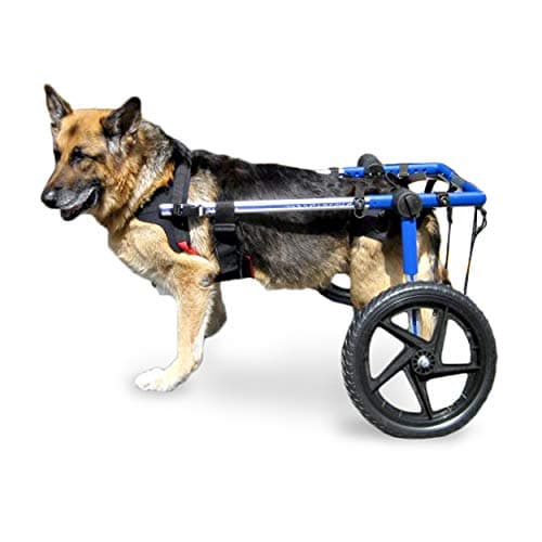 Walkin' Wheels Dog Wheelchair