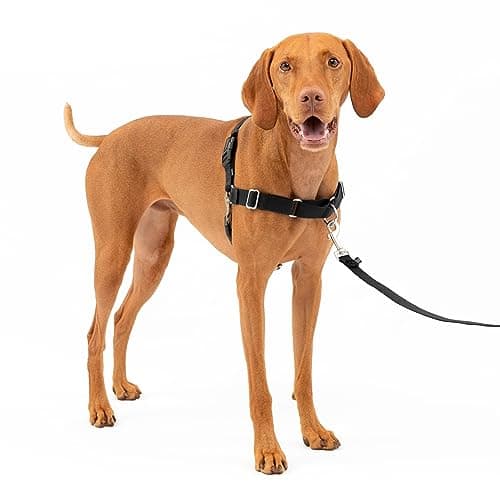PetSafe PetSafe Easy Walk No-Pull Dog Harness