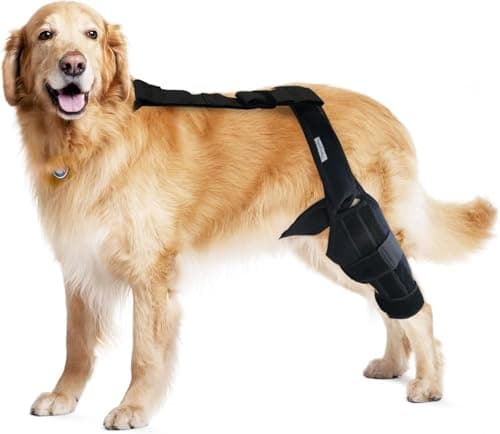 MerryMilo MerryMilo Dog Knee Brace with Stabilizer Wrap