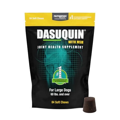 Dasuquin Nutramax Dasuquin for Large Dogs