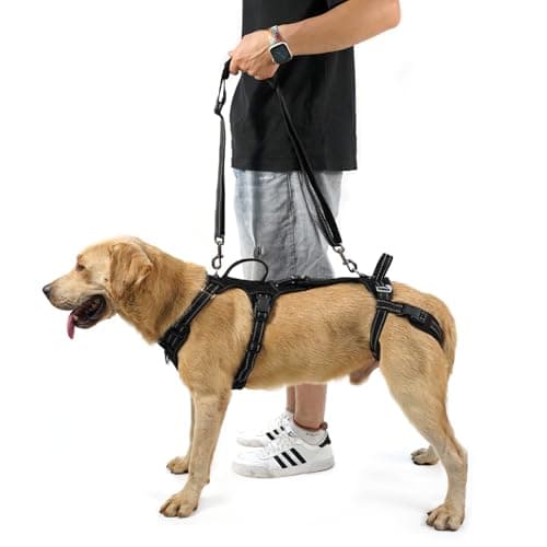 Coodeo Coodeo Dog Lift & Walking Harness