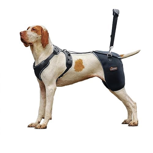 LISPOO LISPOO Adjustable Dog Hip Support Brace