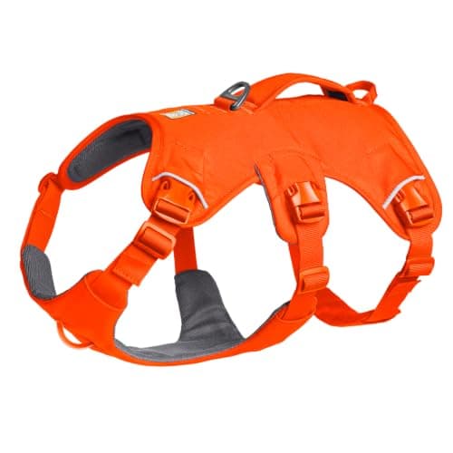 Ruffwear Ruffwear Web Master Dog Harness