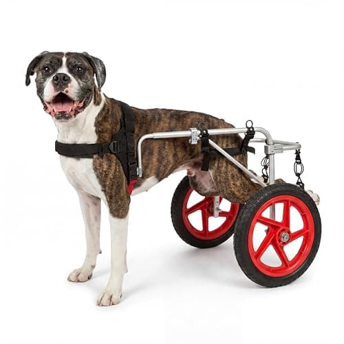 Best Friend Mobility Best Friend Mobility Dog Wheelchair