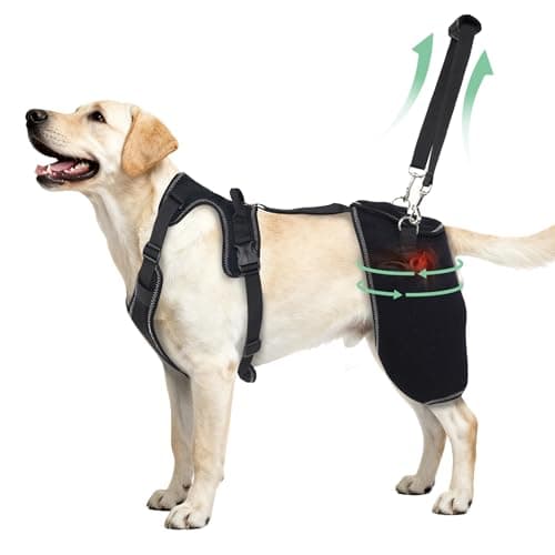 HAPPYHAO HAPPYHAO Dog Hip Support Brace with Lift Strap