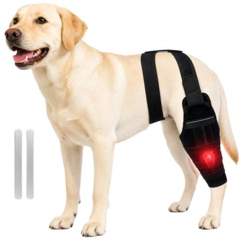 ZhiMengPet ZhiMengPet Dog Knee Brace with Back Strap