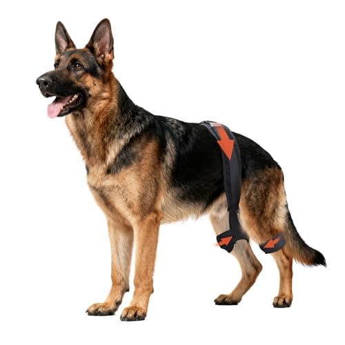 Yinchogee Dog Hip Brace