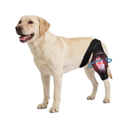 Noorace Noorace Dog Knee Brace for ACL & CCL Support