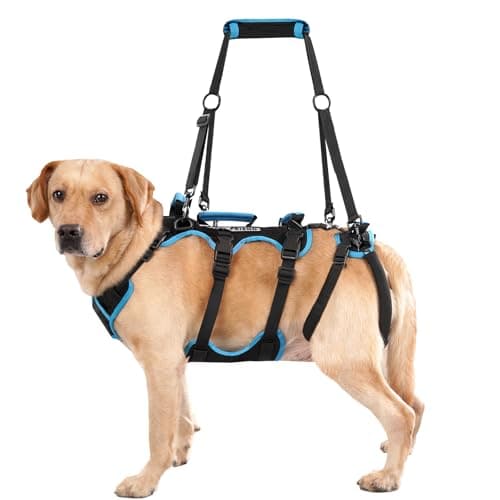 Lafoty Lafoty 2-in-1 Full-Body Dog Lift Harness