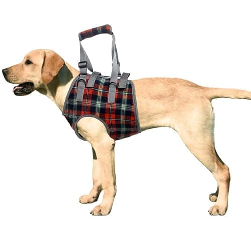 ROZKITCH ROZKITCH Front-End Dog Lift Harness