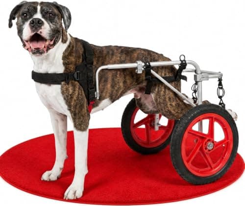 Best Friend Mobility Best Friend Mobility Dog Wheelchair