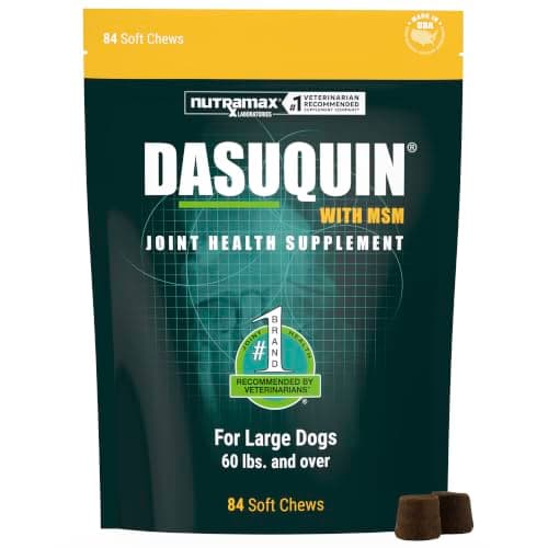 Dasuquin Nutramax Dasuquin for Large Dogs