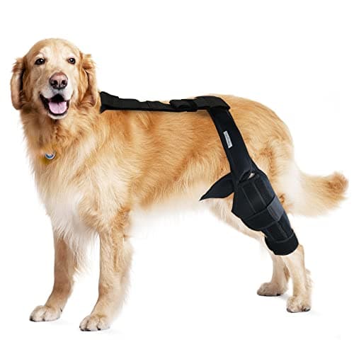 MerryMilo MerryMilo Dog Knee Brace with Stabilizer Wrap