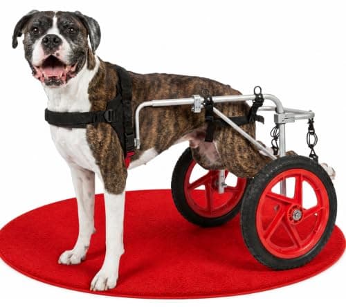 Best Friend Mobility Best Friend Mobility Dog Wheelchair