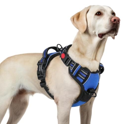 rabbitgoo rabbitgoo Easy On & Off Dog Harness (3 buckles)